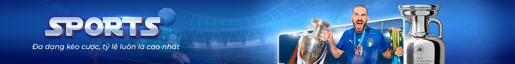 banner sports