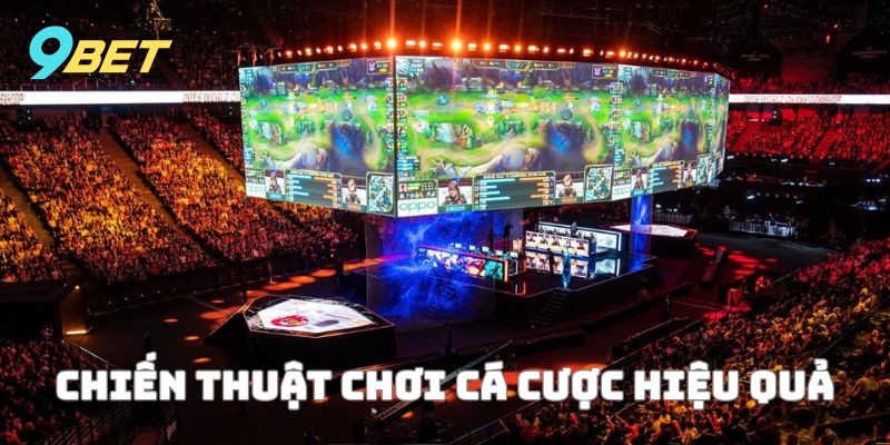Chia sẻ kinh nghiệm đặt cược tại YGR điện tử