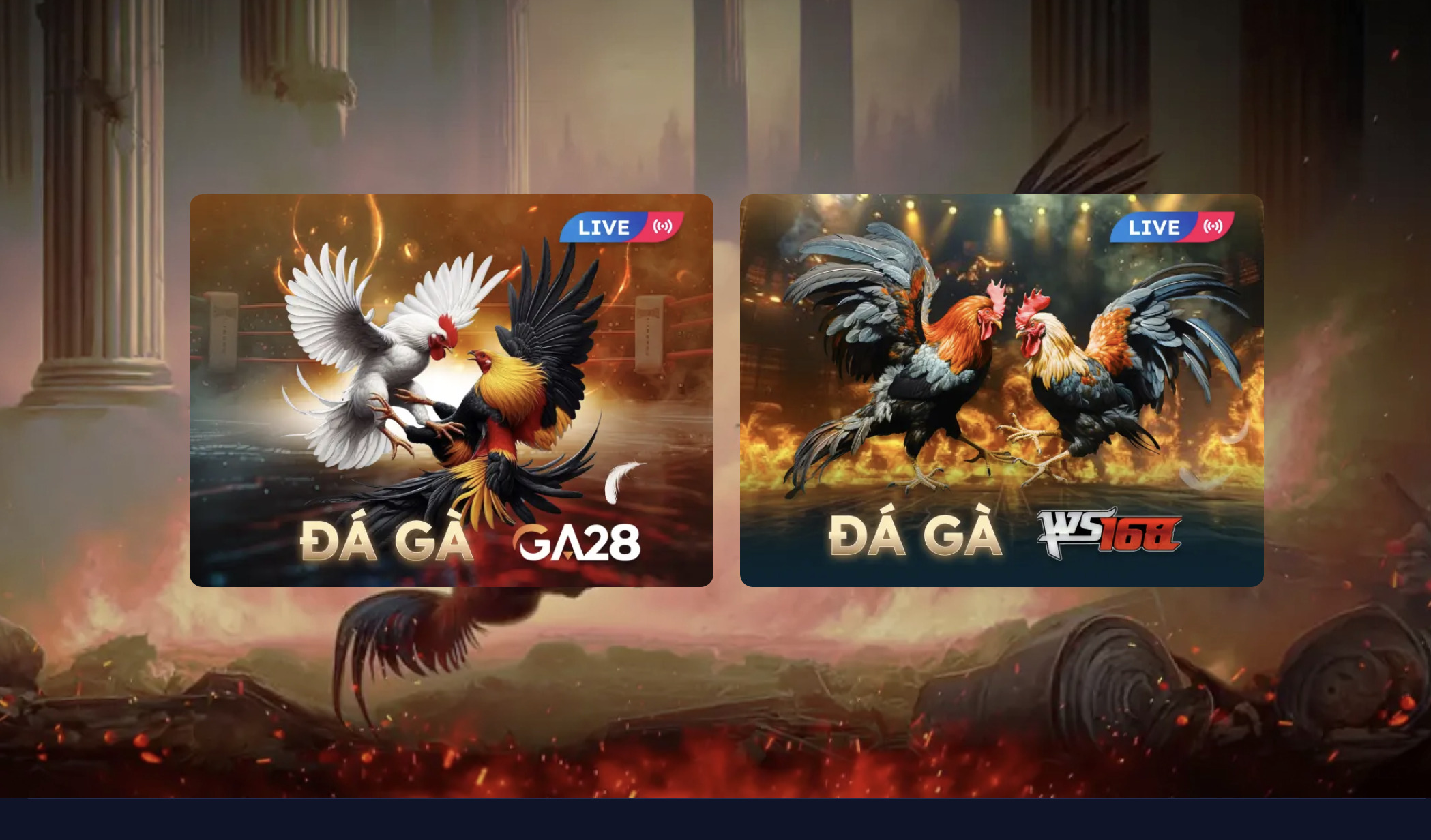 đá gà 9bet