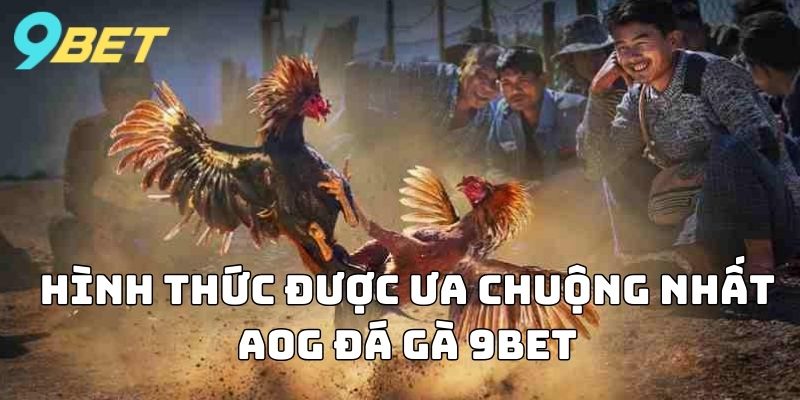 Hình thức được ưa chuộng nhất AOG Đá Gà 9BET