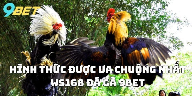 Hình thức được ưa chuộng nhất Ws168 Đá Gà 9BET