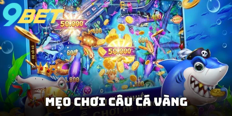 Tận dụng các tính năng hỗ trợ săn thưởng
