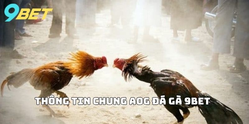 Thông tin chung AOG Đá Gà 9BET