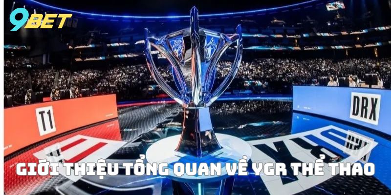 Thông tin tổng quan về YGR điện tử